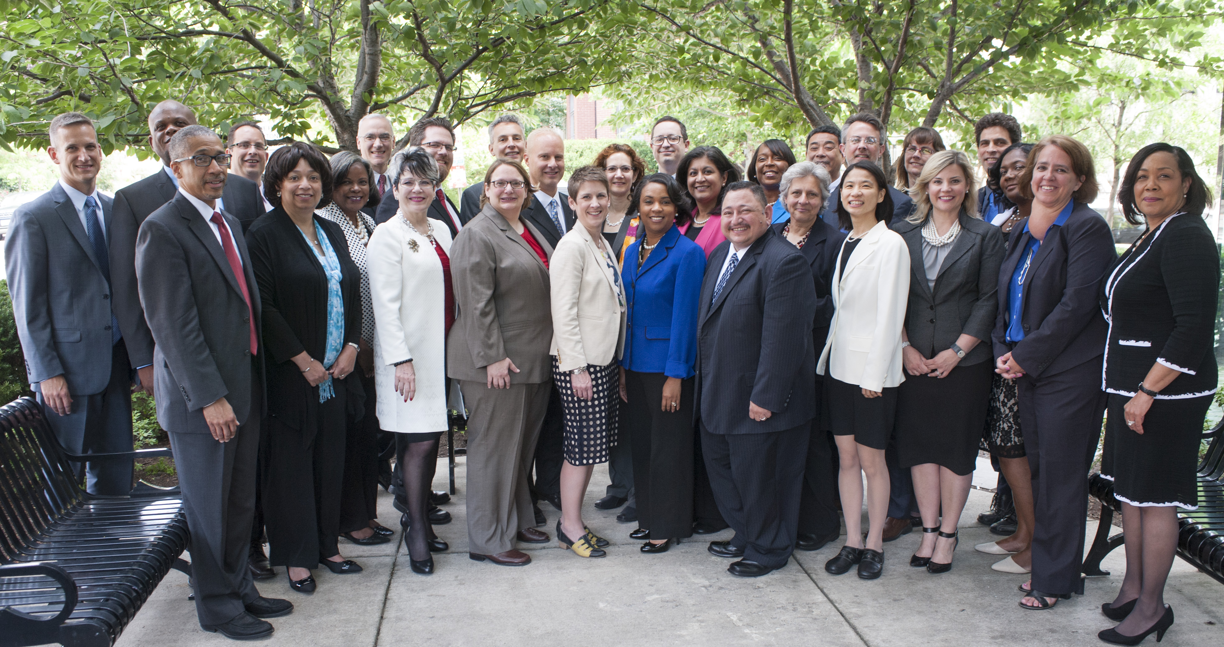 ACE Fellows Program Class of 2016-17